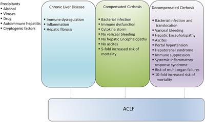 Acute-on-Chronic Liver Failure: Pathophysiological Mechanisms and Management